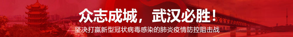 2020武汉设计日暨武汉设计发布盛典举行 火神山雷神山医院设计建设获至高荣誉