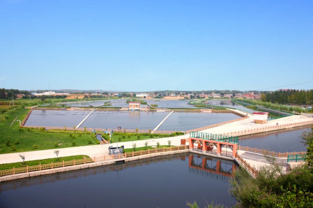 【展会员风采 树行业标杆】 武汉勘察设计协会2020-2022年度优秀会员单位（第十七期）|武汉中科水生生态环境股份有限公司