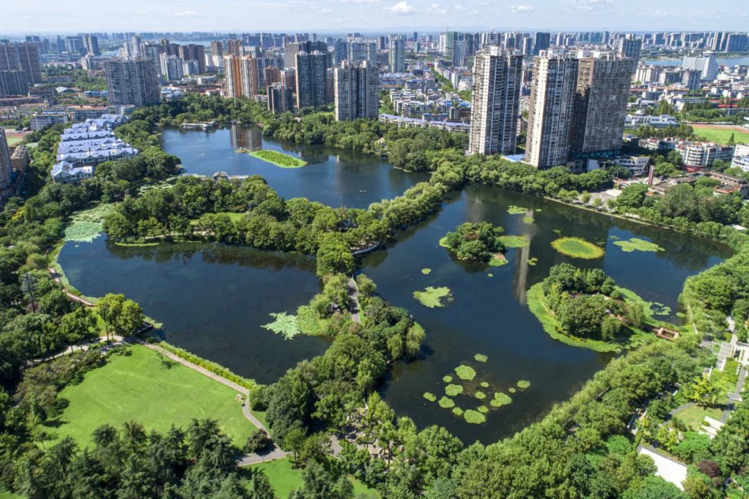 【展会员风采 树行业标杆】 武汉勘察设计协会2020-2022年度优秀会员单位（第十七期）|武汉中科水生生态环境股份有限公司