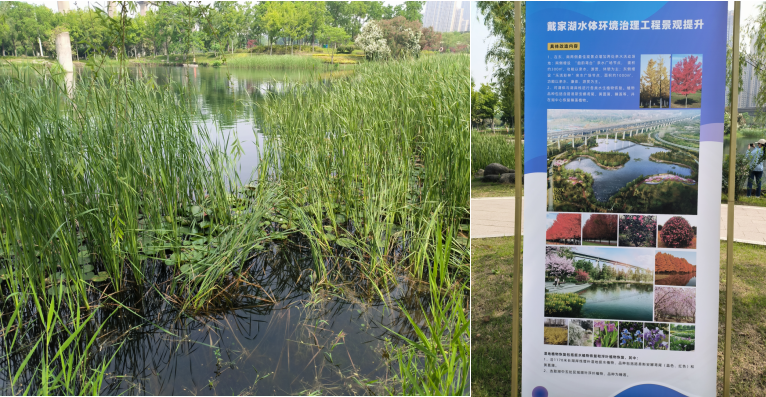 【展会员风采 树行业标杆】 武汉勘察设计协会2020-2022年度优秀会员单位（第十七期）|武汉中科水生生态环境股份有限公司