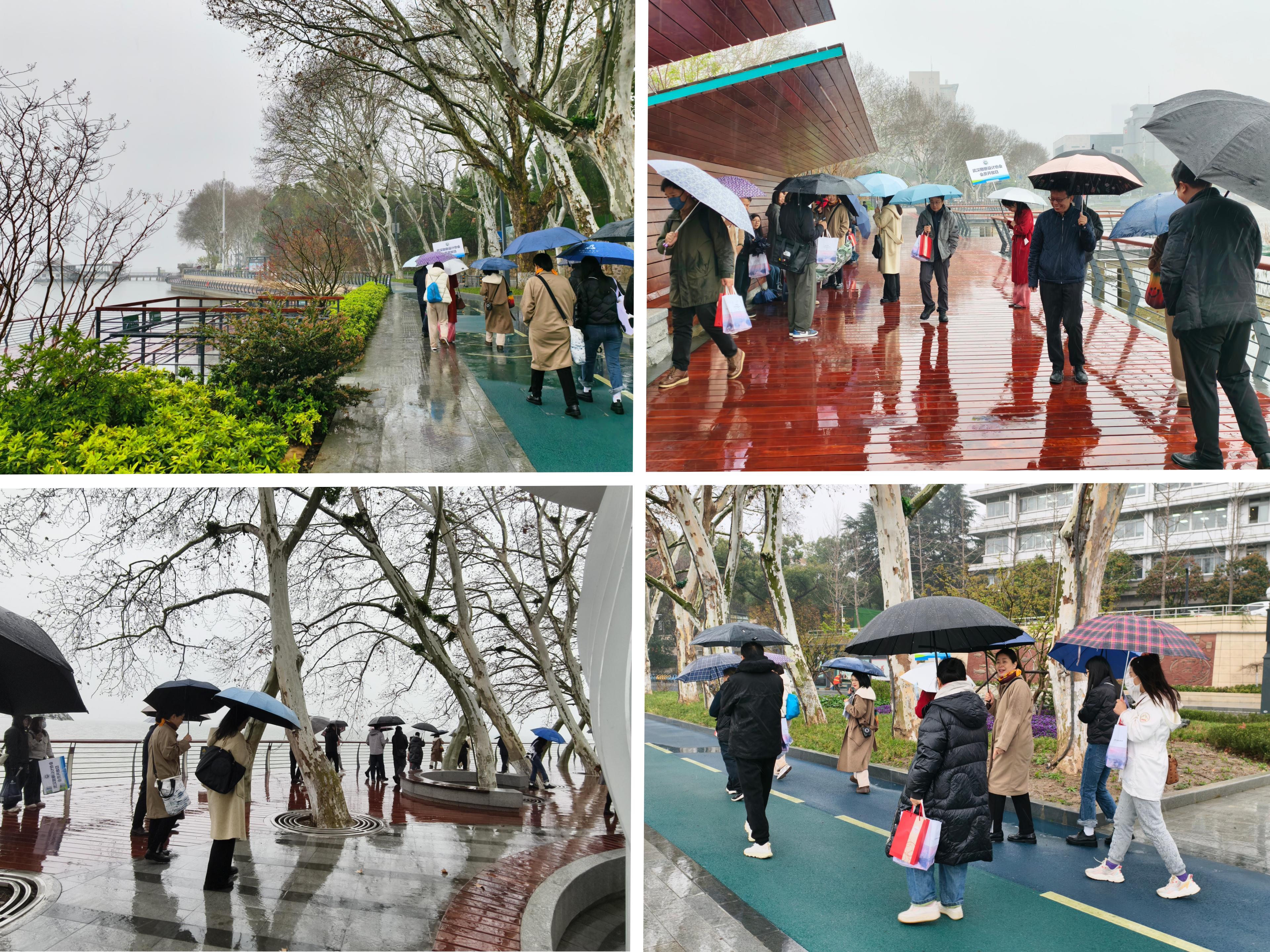 武汉勘察设计协会会员开放日——走近武汉生态环境设计院 “匠心筑梦 绿映湖光”活动成功举办
